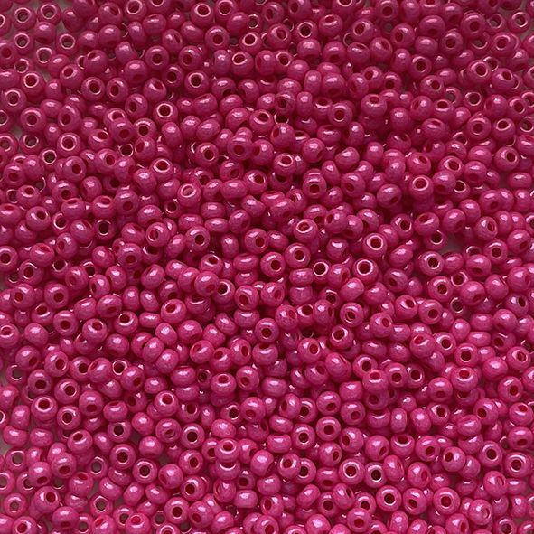 RC1309 Gloss Hot Pink Size 10 Seed Beads