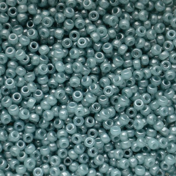 RC8-2376 Translucent Eucalyptus Size 8 Seed Beads