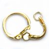 FN073 Gold Snake Key Ring