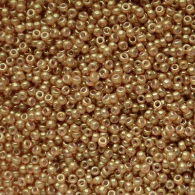 RC11-2372 Translucent Spice Size 11 Seed Beads