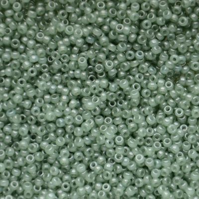 RC11-2375 Translucent Sage Size 11 Seed Beads