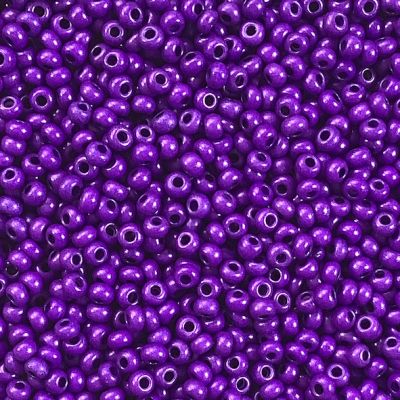 RC342 Terra Matt Purple size 10 seed beads