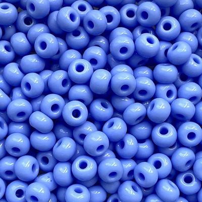 RC491 Chalk Powder Blue Size 6 Seed Beads