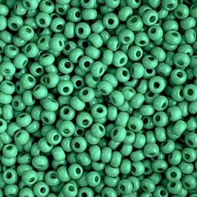 RC620 Terra Matt Green Size 8 seed beads