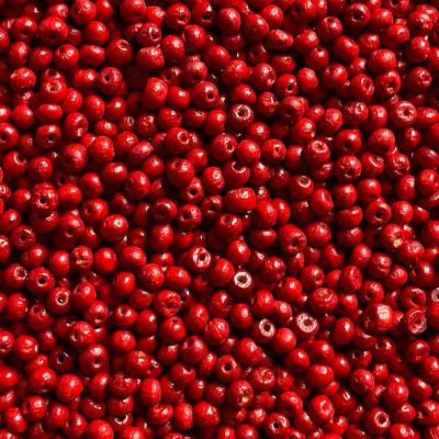 WD431 4mm Red Wooden Beads