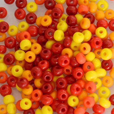 MX021 Chilli Pepper Size 6 Seed Beads