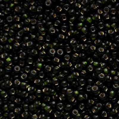 RC655 SL Dark Olive Size 10 Seed Beads