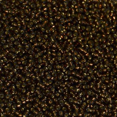 RC11-0029 SL Root Beer Size 11 Seed Beads